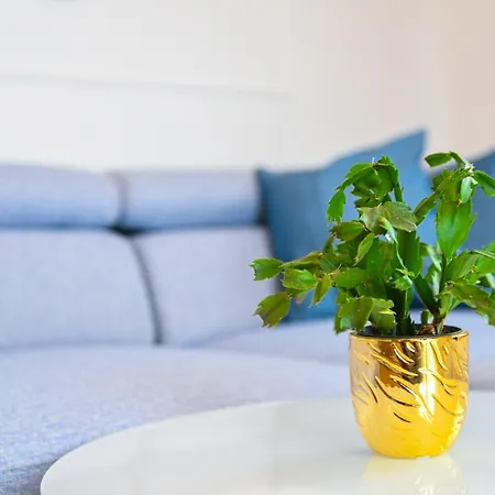 Nideho Estate Apartamento *