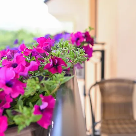 Nideho Estate Appartement *