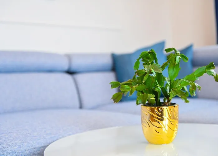 Nideho Estate Appartement *